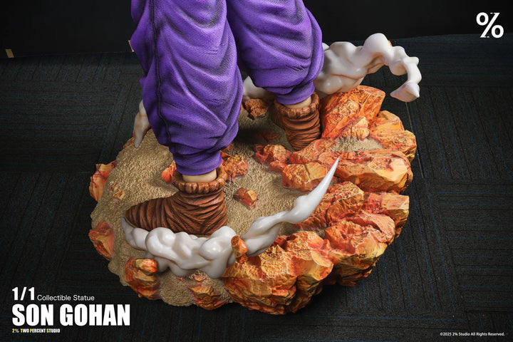 【Pre order】2% Studio 1/1 Dragon Ball Son Gohan