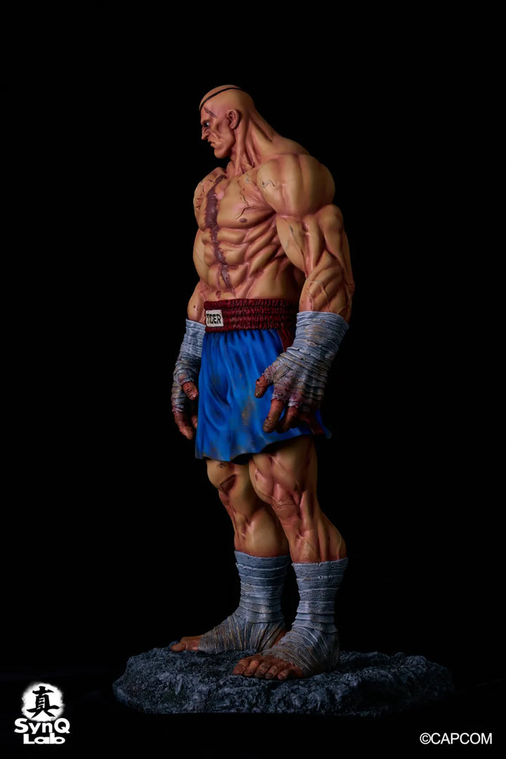 【Pre order】SynQ Lab. 1/6 Street Fighter II Viktor Sagat (Copyright)