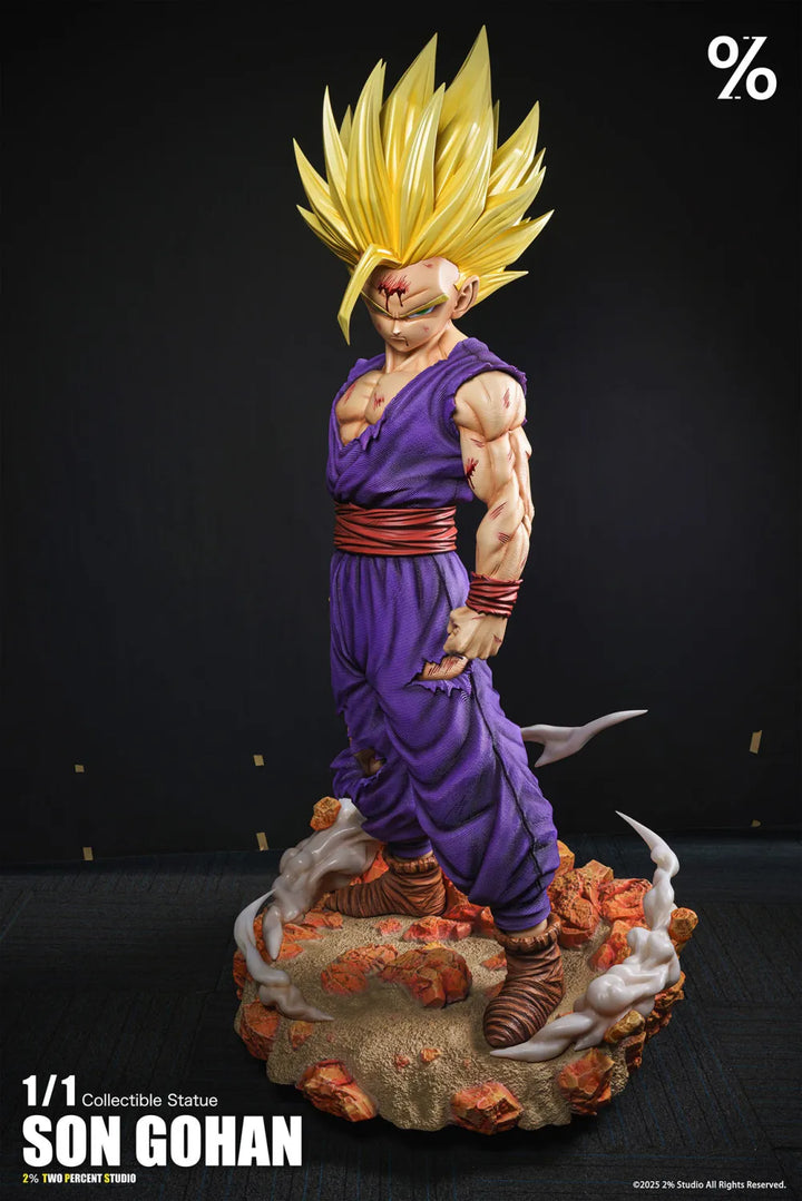 【Pre order】2% Studio 1/1 Dragon Ball Son Gohan