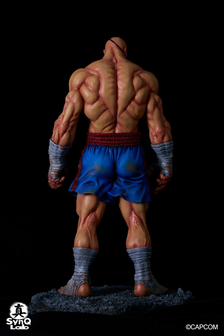 【Pre order】SynQ Lab. 1/6 Street Fighter II Viktor Sagat (Copyright)