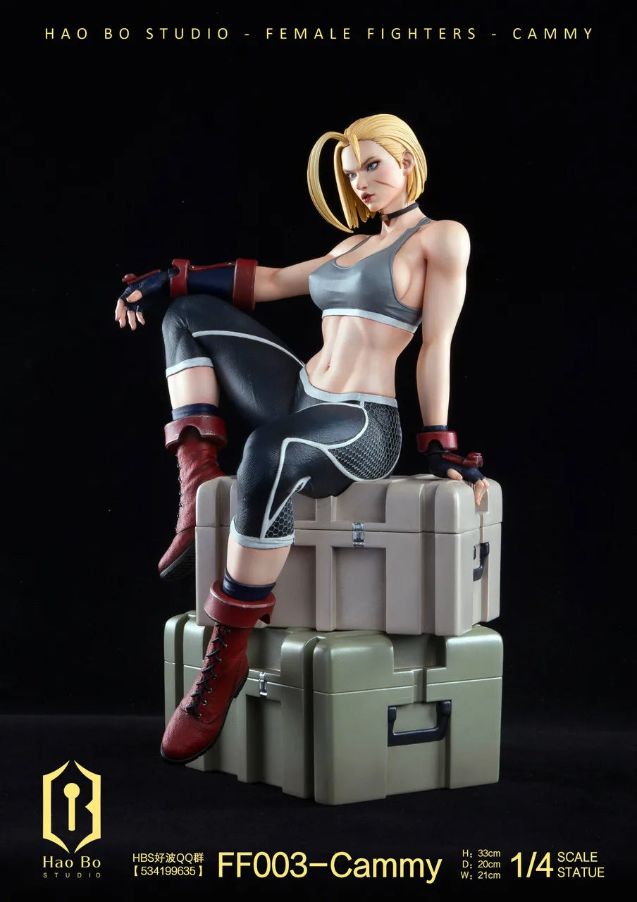 【Pre order】 Hao Bo Studio 1/4 Female fighter FF003 Cammy