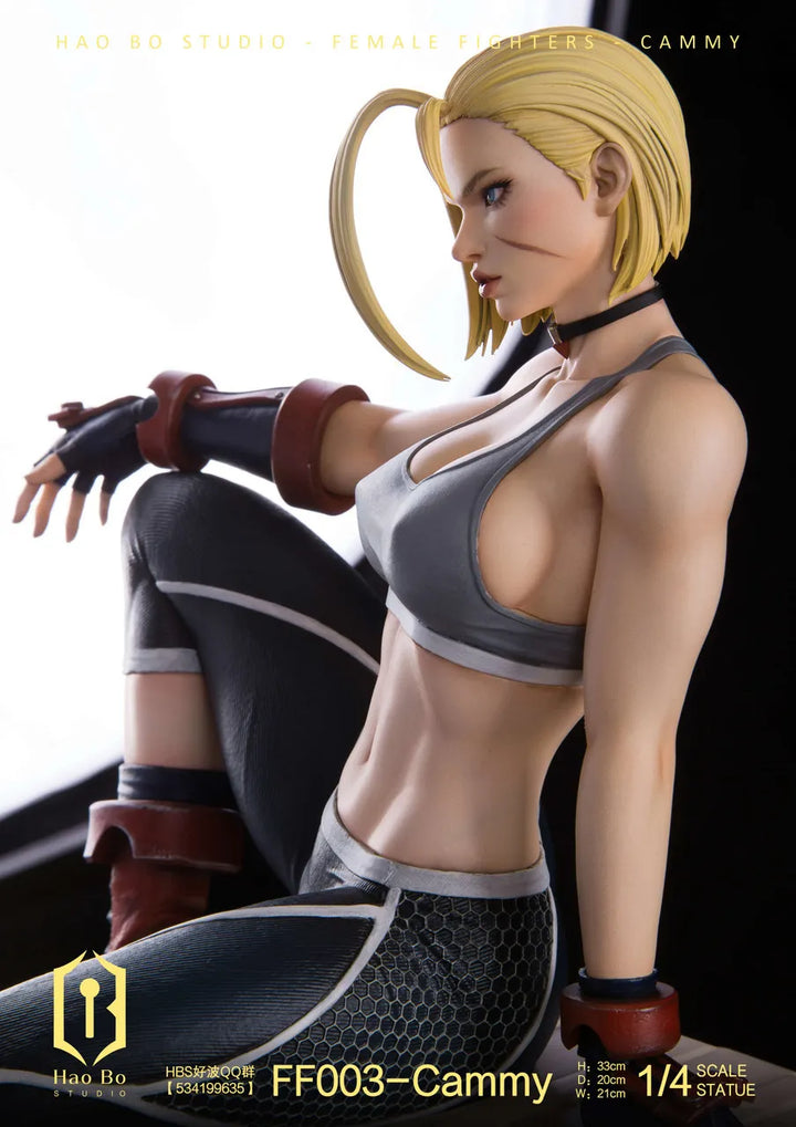 【Pre order】 Hao Bo Studio 1/4 Female fighter FF003 Cammy