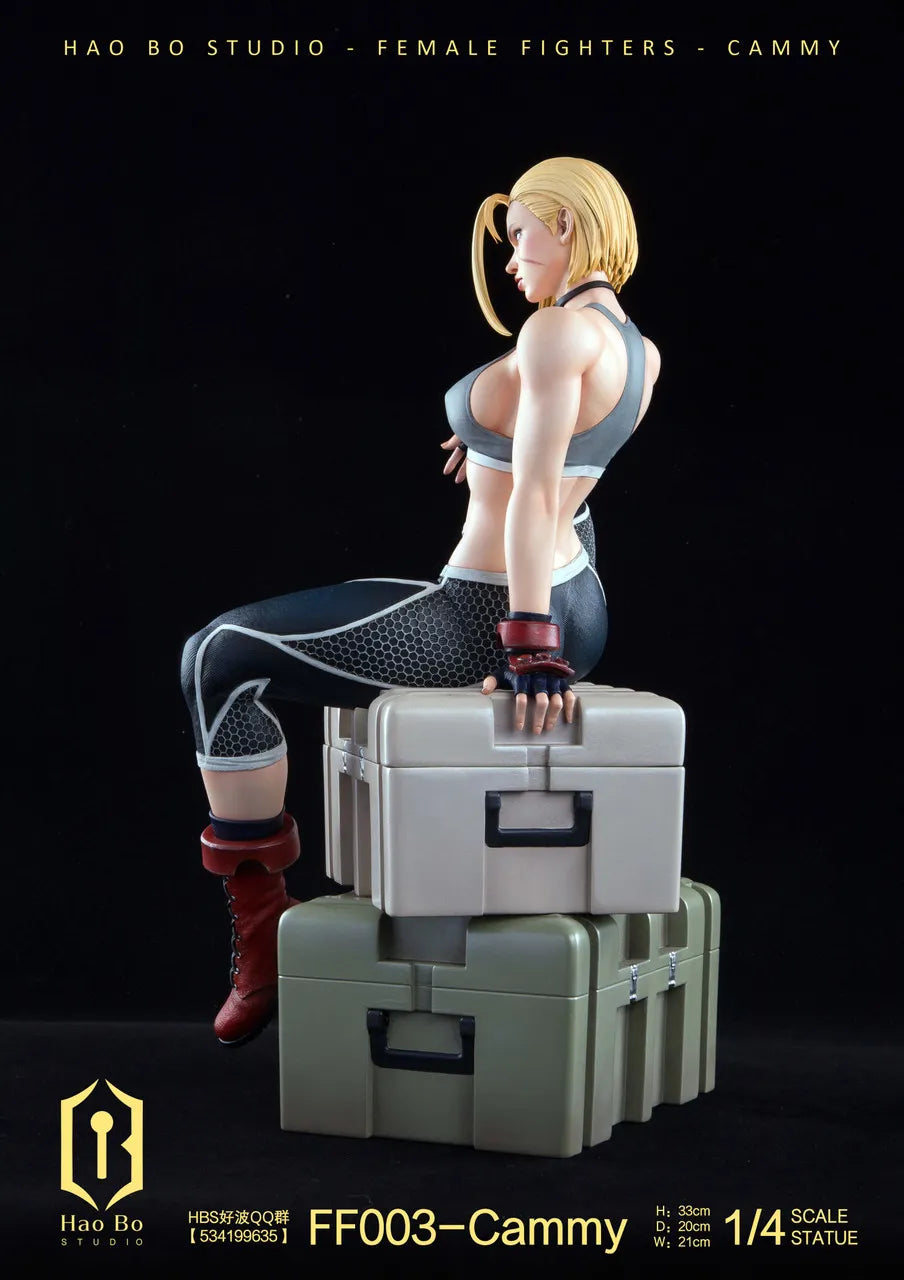 【Pre order】 Hao Bo Studio 1/4 Female fighter FF003 Cammy