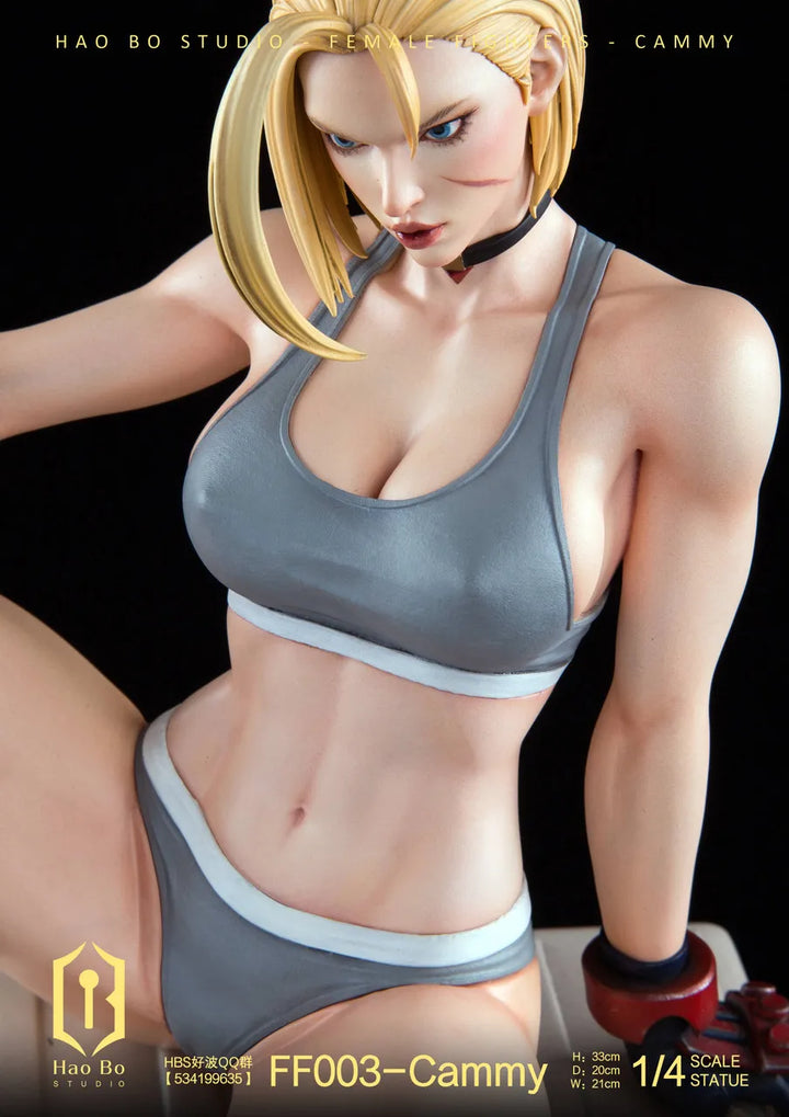 【Pre order】 Hao Bo Studio 1/4 Female fighter FF003 Cammy