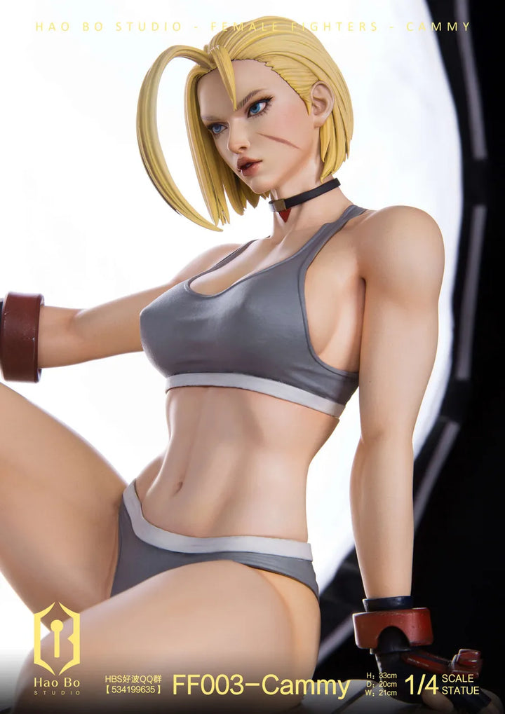 【Pre order】 Hao Bo Studio 1/4 Female fighter FF003 Cammy