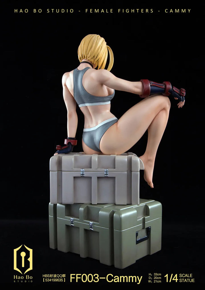 【Pre order】 Hao Bo Studio 1/4 Female fighter FF003 Cammy