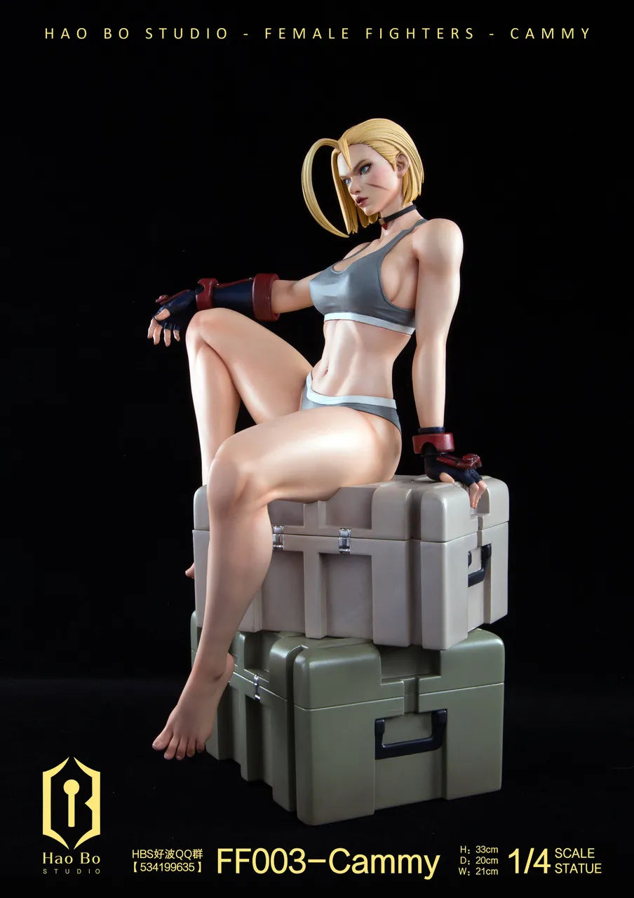 【Pre order】 Hao Bo Studio 1/4 Female fighter FF003 Cammy