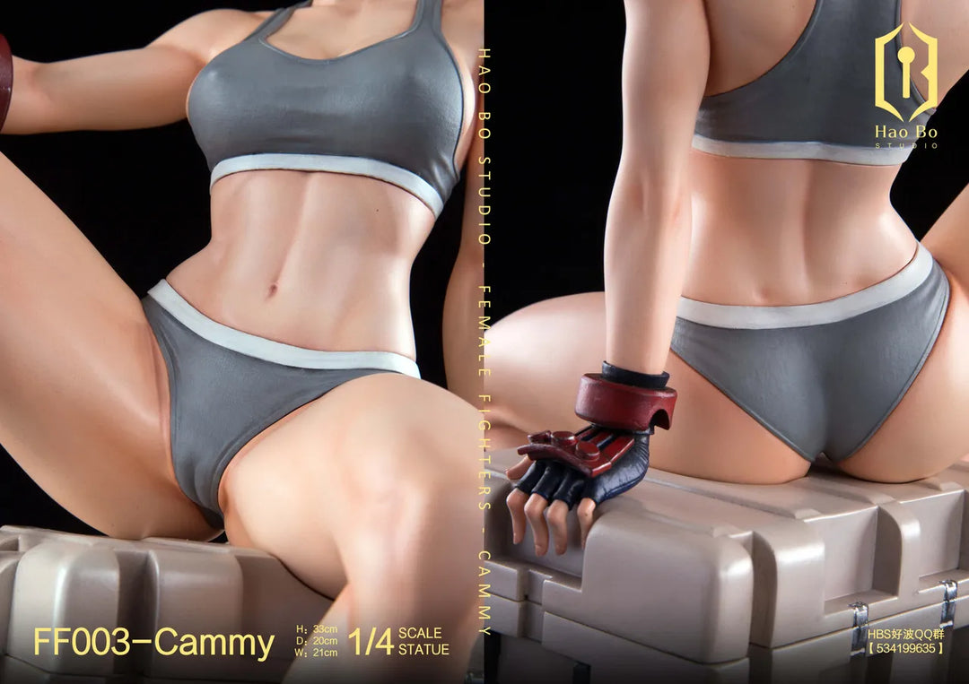 【Pre order】 Hao Bo Studio 1/4 Female fighter FF003 Cammy