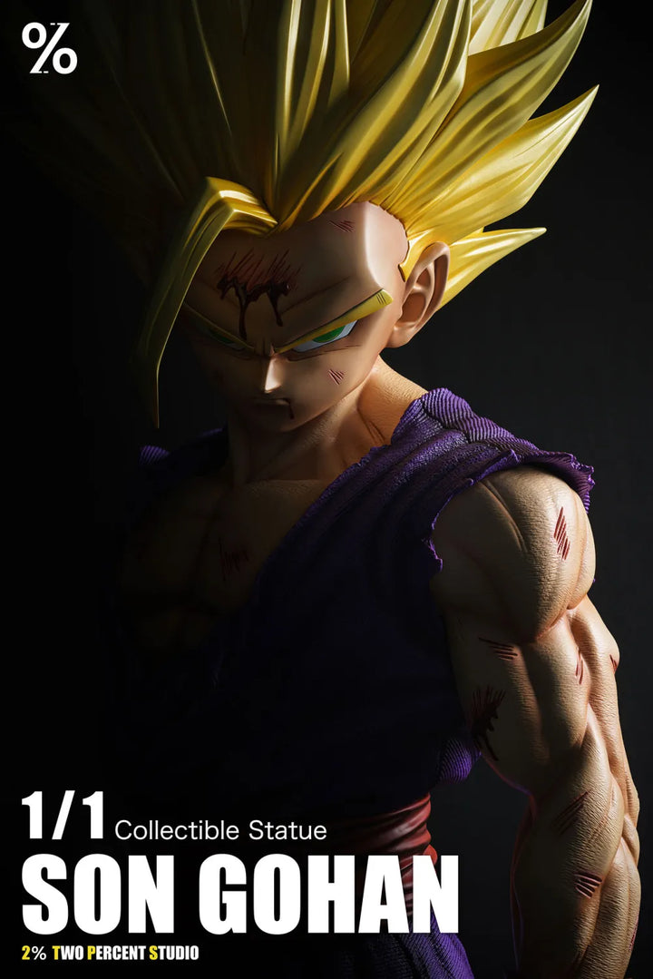 【Pre order】2% Studio 1/1 Dragon Ball Son Gohan