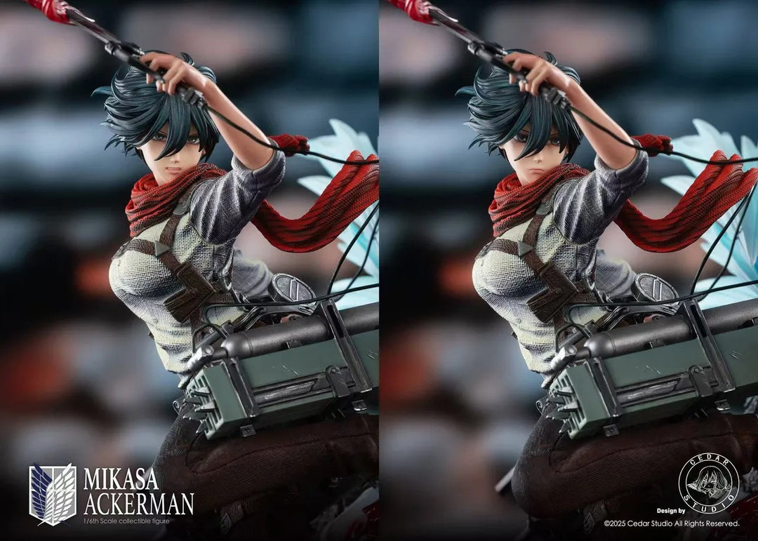 【Pre order】Cedar Studio 1/6 Attack on Titan Mikasa Ackerman