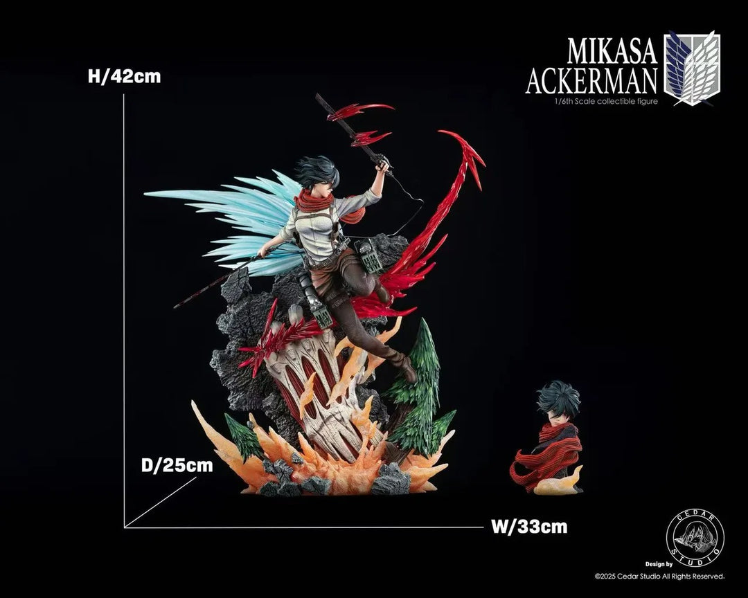 【Pre order】Cedar Studio 1/6 Attack on Titan Mikasa Ackerman