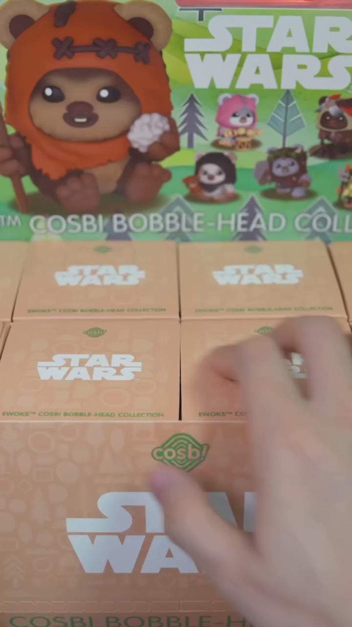 Original Hot Toys Star Wars Ewoks Bobble-Head Cosbi Collection 星球大战 伊沃克人COSBI盲盒迷你人偶