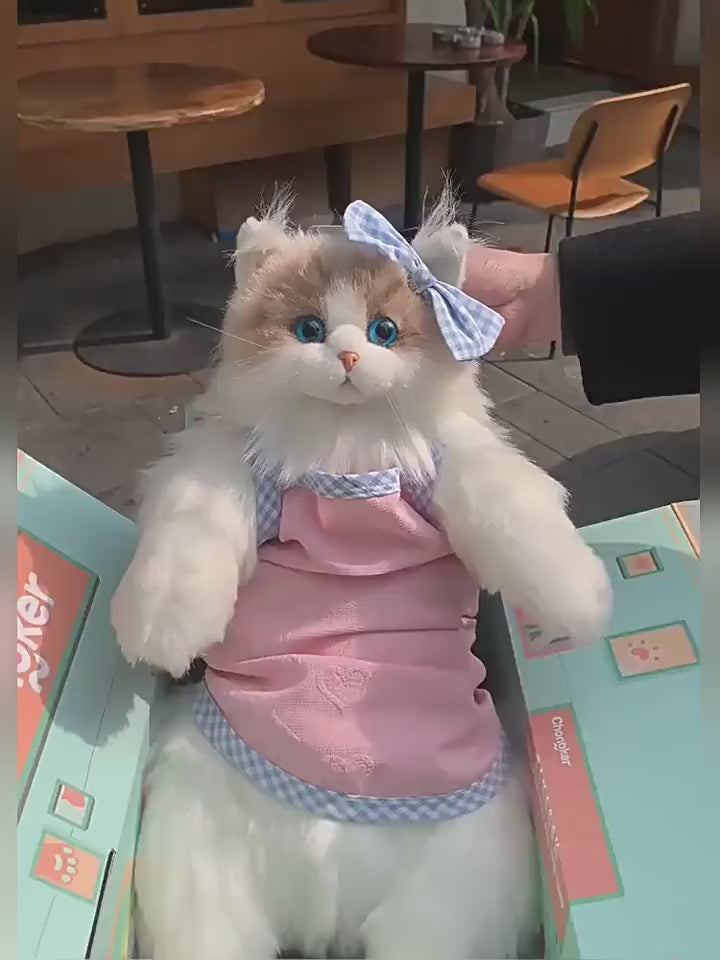[Ready Stock Malaysia] Original Chongker Ragdoll Cat Backpack 布偶猫背包仿真猫咪玩偶送女孩生日 Free Gift Set
