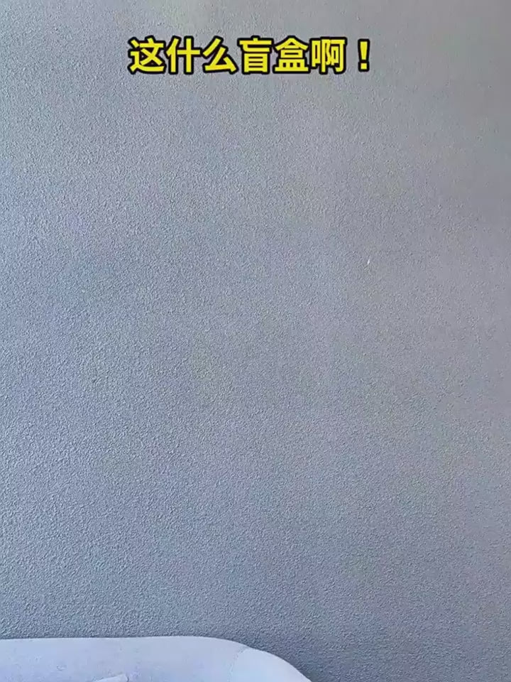Original I'm Sharkitty Series Ver.1 Blind Box 我就是鲨猫系列第1弹盲盒手办摆件可爱超萌公仔礼物